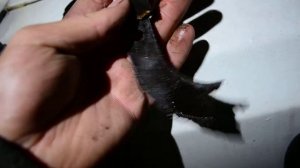 Прокладка поддона змз 402