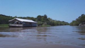 Природа дикой реки Амазонки