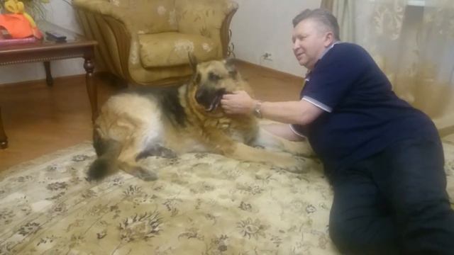 С Новым Годом, дорогой Григорий! смотреть онлайн