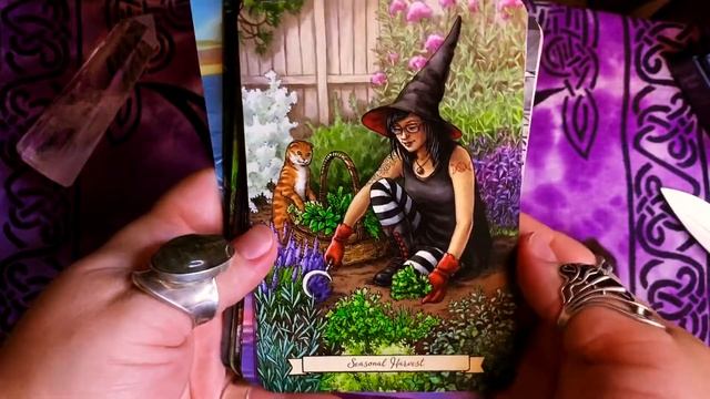 Оракул Ведьма Каждый День / Everyday Witch Oracle, Llewellyn Оригинал смотреть онлайн