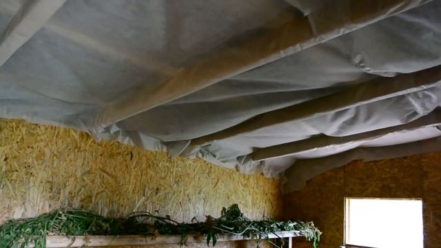 Содержание кур несушек, разведение кур содержание и кормление, секреты яйценоскости смотреть онлайн