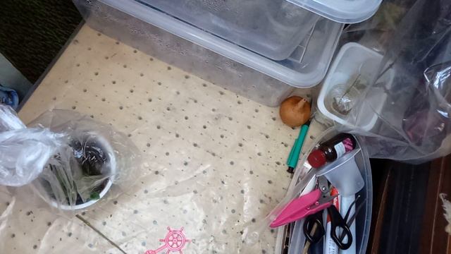 7 февраля 2023 г. 1м х1м !!!! Кую свои миллионы !!Я без шуток!!! смотреть онлайн