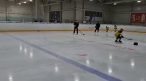 Ведение шайбы и бросок по воротам