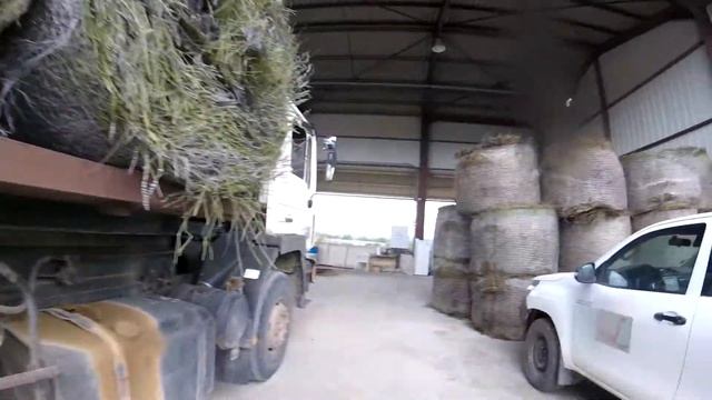 Орёл и решка в Провансе. Что делать Лаванда в провансе!Lavender fields!Champs de lavande! смотреть онлайн