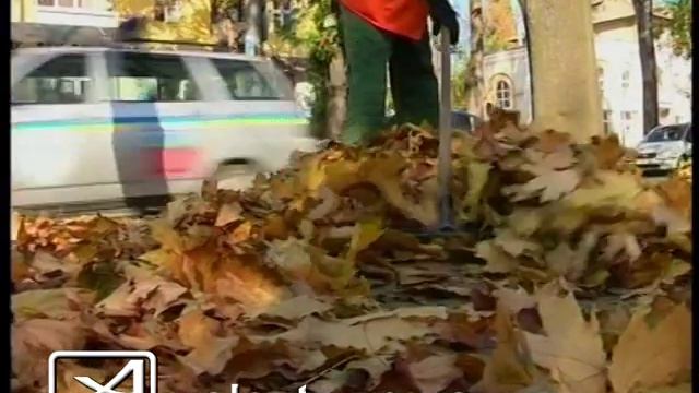 Вывоз листвы смотреть онлайн