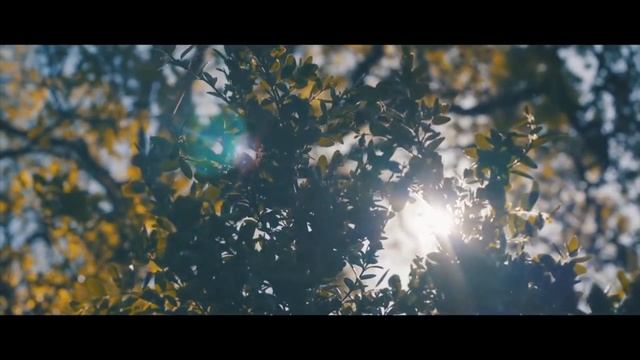 Portrait Video || Shereen with Fujifilm X-T10 смотреть онлайн