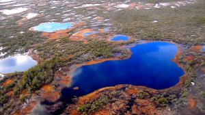 Васюганские Болота