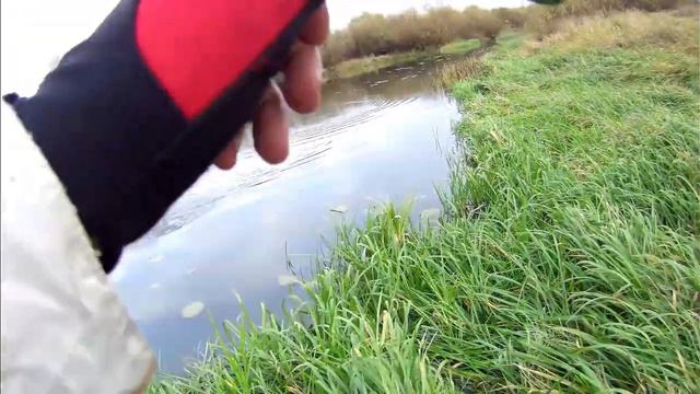 Где всегда можно найти рыбу в ноябре.... смотреть онлайн