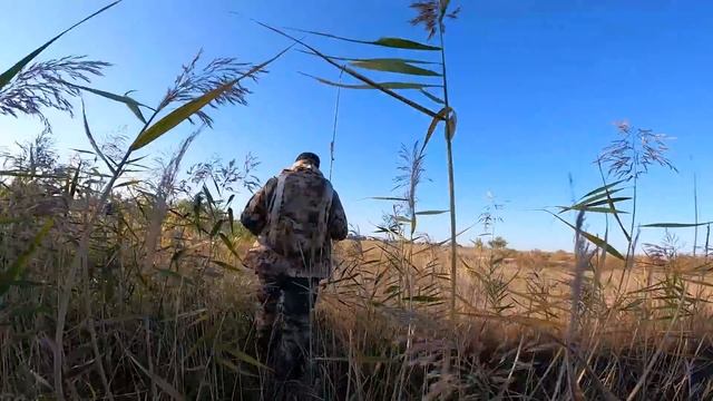 ЛОВЛЯ БОЛЬШОЙ ЩУКИ С БЕРЕГА. Как, чем и на что ловить?!