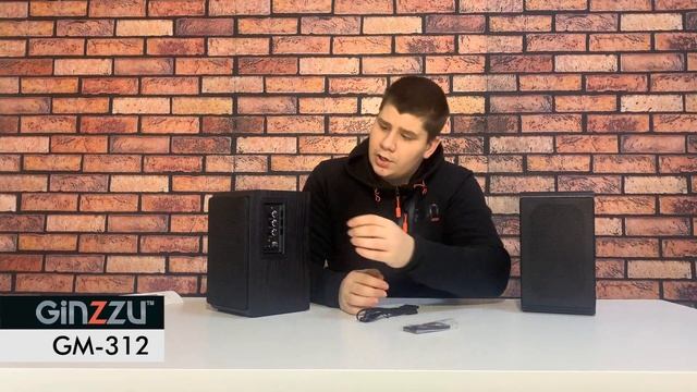 Обзор на акустическую систему 2.0 от GINZZU. Model: GM-312. смотреть онлайн