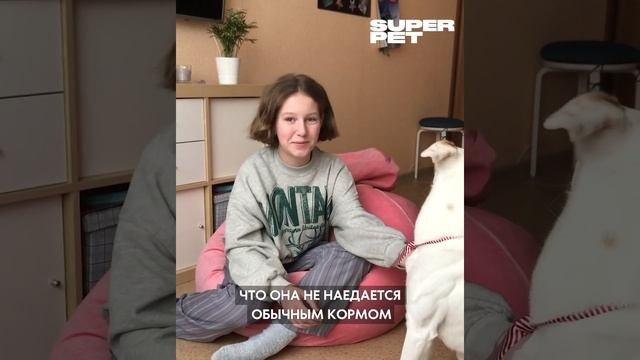 Оля - отзыв о натуральном питании для кошек и собак SUPERPET смотреть онлайн