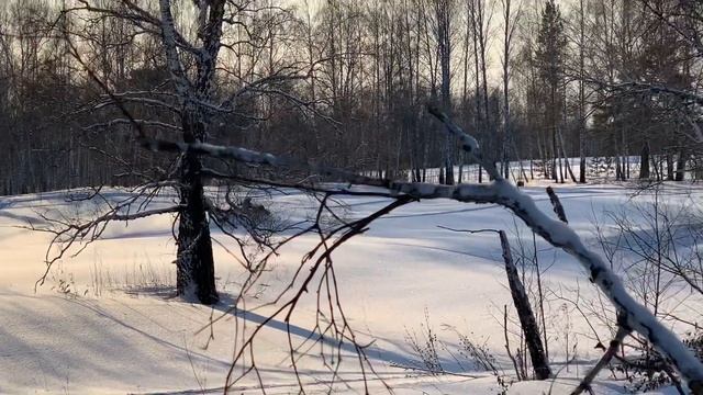 BRP Ranger 49 600R- e-tec смотреть онлайн