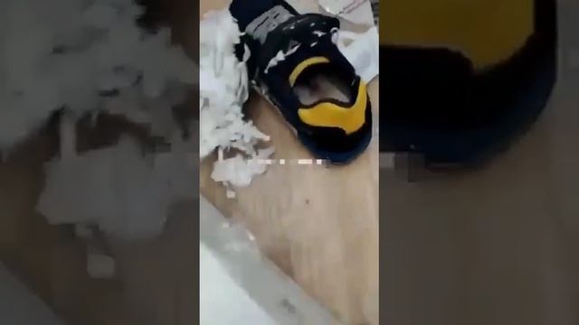 Известный интернет-магазин прислал покупательнице живых мышей в ботинках смотреть онлайн