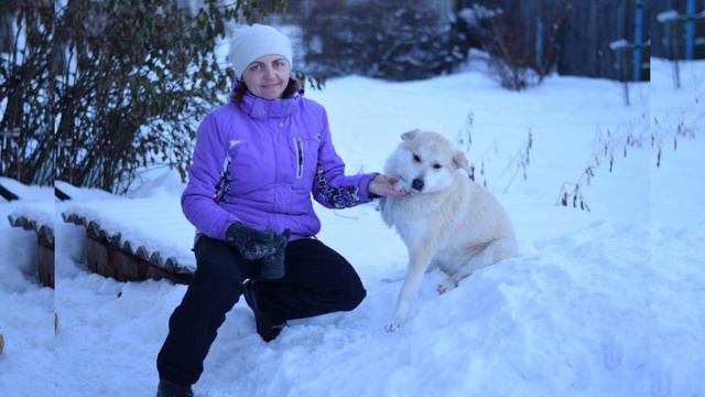 “Пойдёшь ко мне жить?”спросила девушка у тощей собаки, которая пыталась уснуть на улице под дождём смотреть онлайн