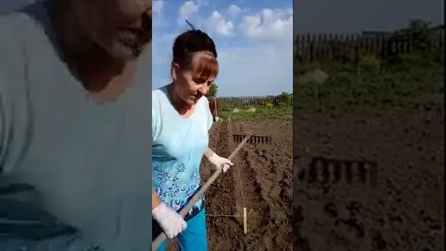 Как сделать узкую грядку красиво за 10 минут смотреть онлайн