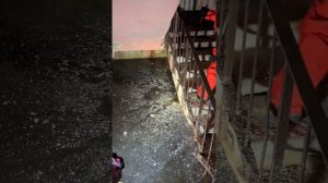 #суперсус #камрад #громов #боно #припять