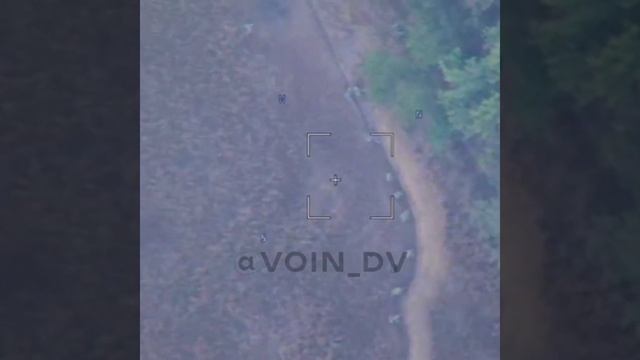 Работа российской артиллерии по позициям ВСУ на окраине н.п Новомайорского. смотреть онлайн