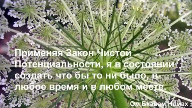День 8 Изобилие и Закон Чистой Потенциальности смотреть онлайн