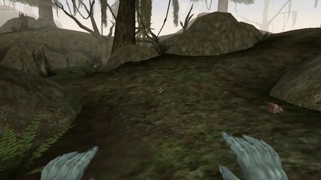 Morrowind
