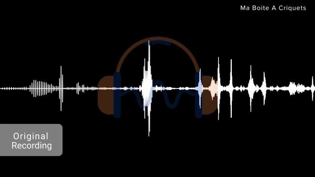 Sennheiser HD 650 vs Sennheiser HD 560S Sound Demo featuring Electronic/HipHop/Vocals/Metal/Lofi смотреть онлайн