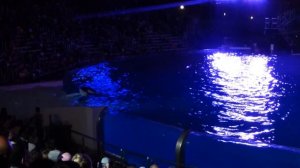 Касатки Последнее Выступление в Сан Диего США Калифорнии Sea World
