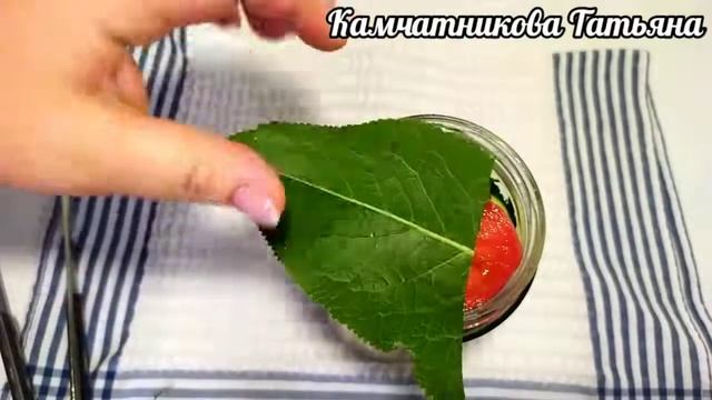 Свежий салат на зиму из помидоров и огурцов без стерилизации рецепты приготовления в домашних смотреть онлайн