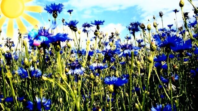 Ручеёк  Виктор Корнев  музыка аранж  Любовь Чернышова   стихи и монтаж Людмила Корнева исполнени