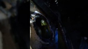 Плохо греет печка на ваз 2115? Ищем и находим!