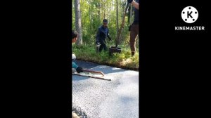 Двух слойное резиновое покрытие на дорожках для дачи