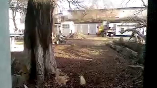 Валят тополь 2.mp4 смотреть онлайн