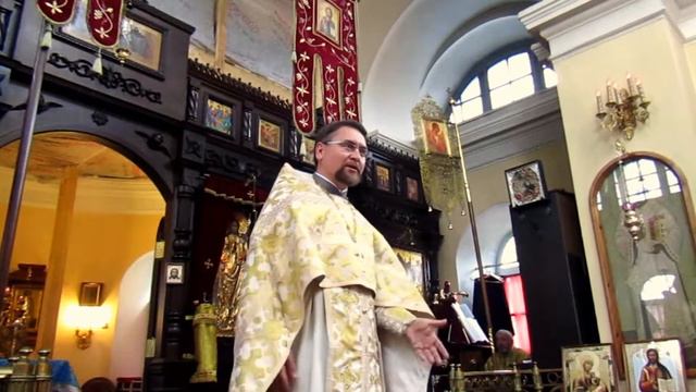 Воскресная проповедь о.Дмитрия 25.06.2017 смотреть онлайн