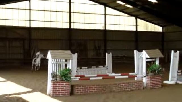 Vince Dugan Jumper Show 04/01/2006 Shelby and Riley смотреть онлайн