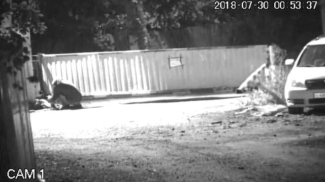 Язово кража датчиков 30 июля 2018 смотреть онлайн