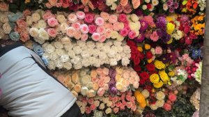 ИСКУССТВЕННЫЕ ЦВЕТЫ 🌺ДЛЯ ДЕКОРА 🌺ПАСХИ ОГРОМНЫЙ АССОРТИМЕНТ САДОВОД #садовод #рыноксадовод