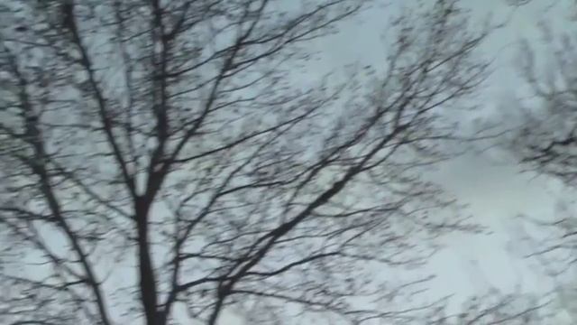 Дом в овраге 2012