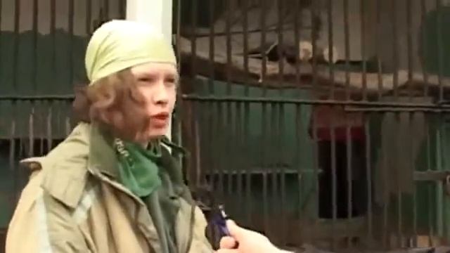 дренаж фундамента видео смотреть онлайн