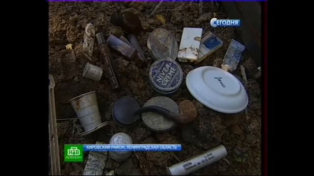 ИЛ-2, Штурмовик, упавший в болото... Памяти погибшим лётчикам посвящается. смотреть онлайн