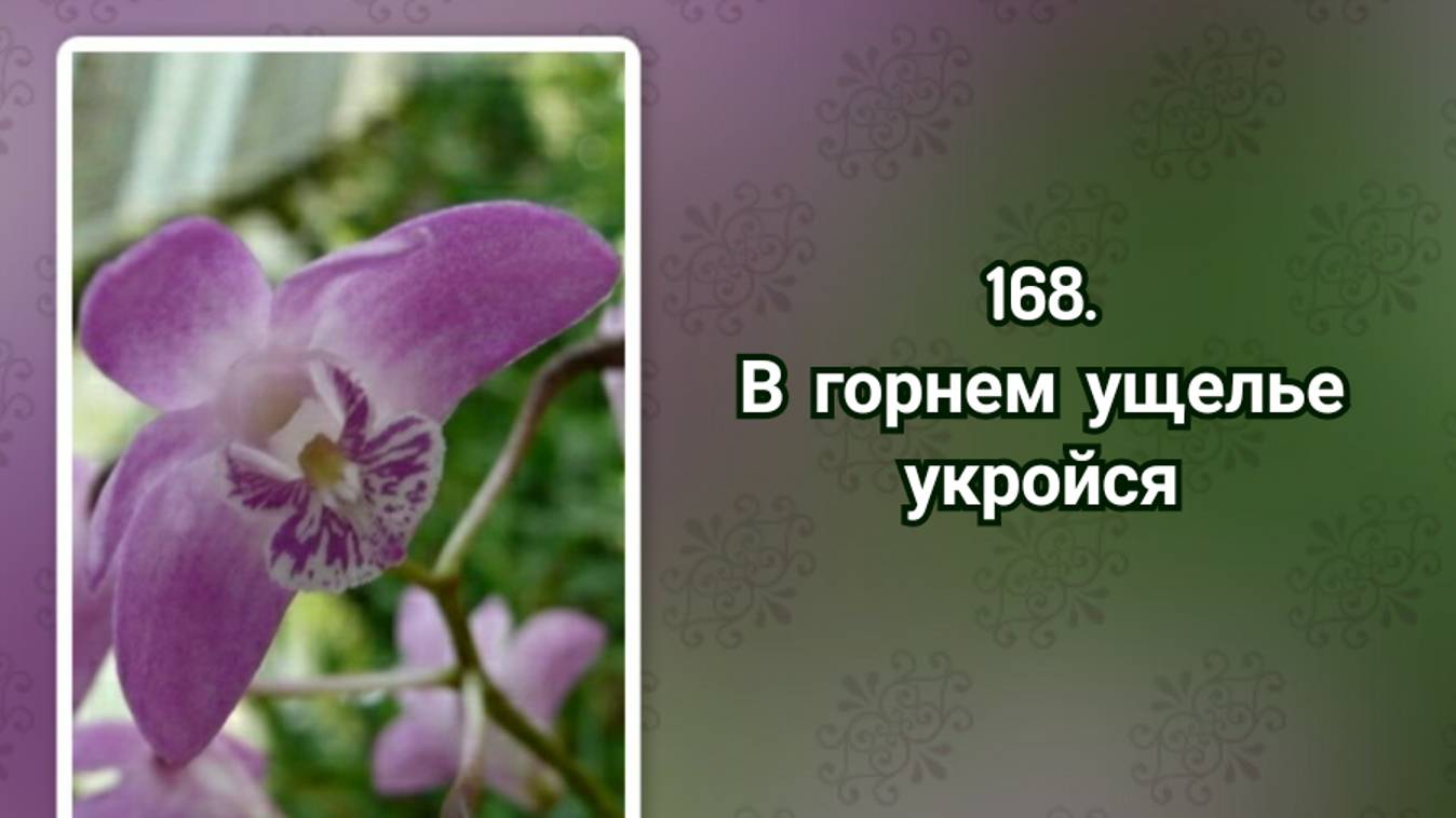 Гимны надежды 168 В горнем ущелье укройся (-) смотреть онлайн