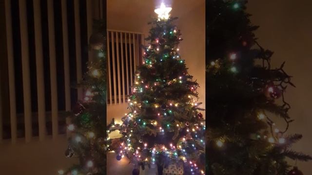 USA Ready for Christmas 11-11-2019 смотреть онлайн