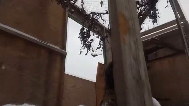 ВПЦ "Вымпел-Байкал". К 8 марта. смотреть онлайн