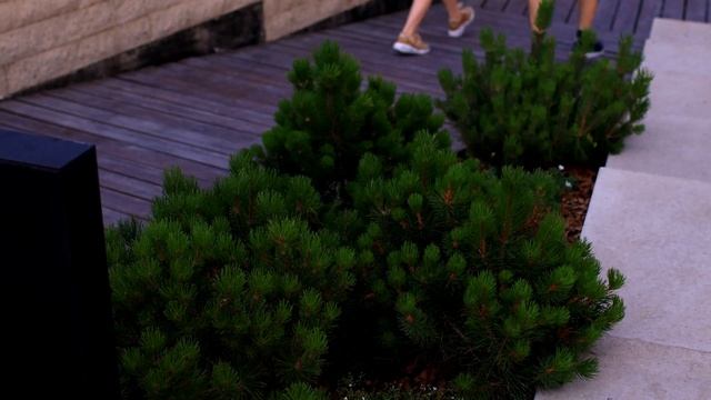 "Вертолётка" вечером 3 июля 2021 4К смотреть онлайн