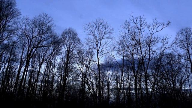 Time lapse test new Canon Vixia HF G50 4K смотреть онлайн