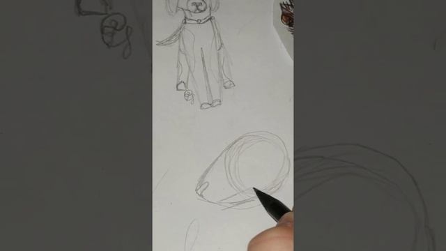 рисую БУЛЬТЕРЬЕРА /как нарисовать собаку /рисую собаку за 3 минуты/ смотреть онлайн