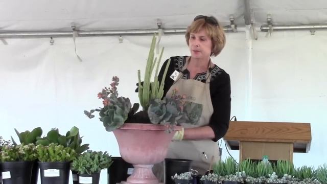 Design and Plant a Succulent Container Garden: The Basics смотреть онлайн
