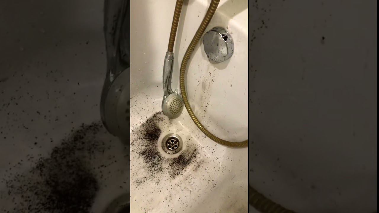 Вода из крана! Можно не только пить, но и есть ))) моет Хеннесси) смотреть онлайн