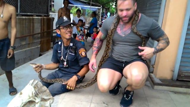 Питон вышел прогуляться. Pattaya 03.09.2015 смотреть онлайн