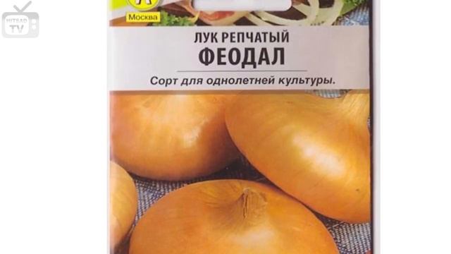 Лук севок чернушка ➡рассада из семян . Выбираем лучшие семена лука с hitsadtv смотреть онлайн