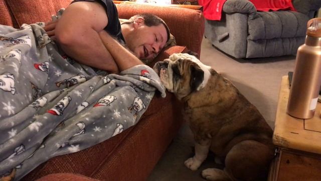 Reuben the Bulldog: An Evening Discussion смотреть онлайн