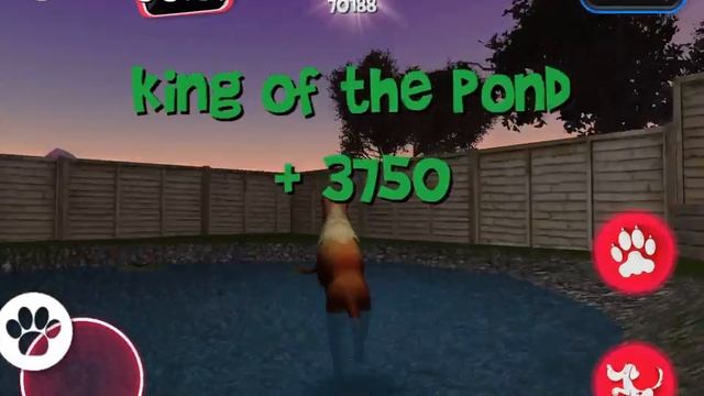 Dog Simulator 2015 - Garden 1 by night - 100917 points смотреть онлайн