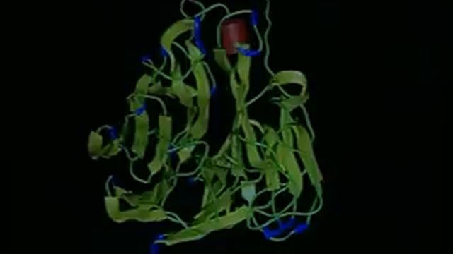 Computational Chemistry